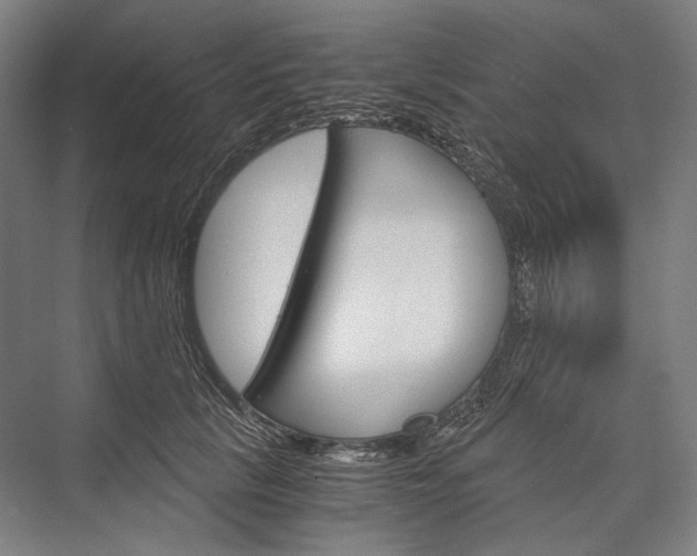 X0000076430657200610061000