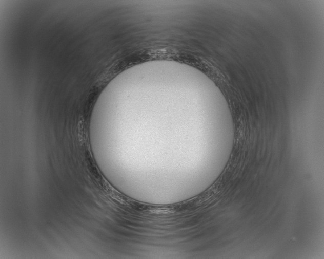 X0000076430659200610061000
