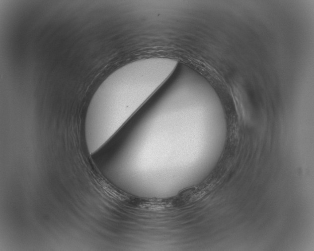 X0000076430661200610061001
