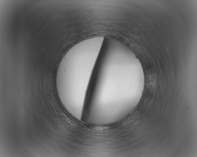 X0000076430664200610061001