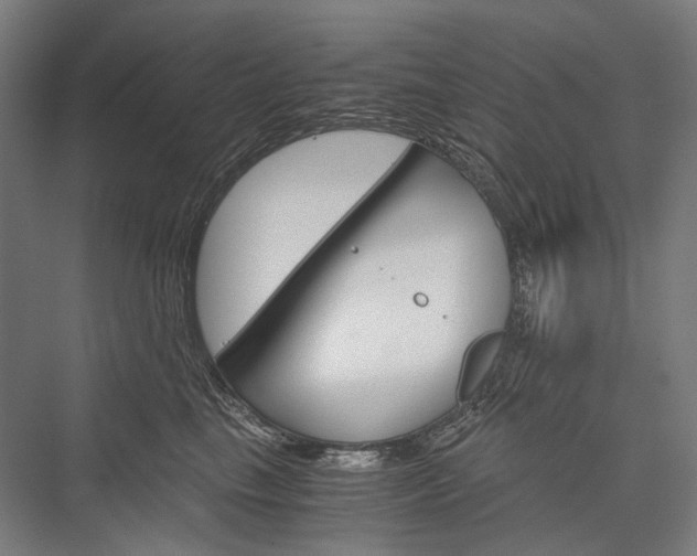 X0000076430665200610061001
