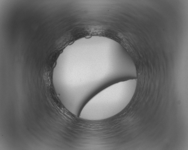 X0000076430666200610061001