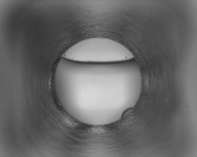 X0000076430668200610061001