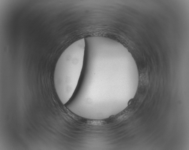 X0000076430671200610061001