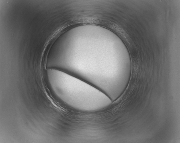 X0000076430674200610061000