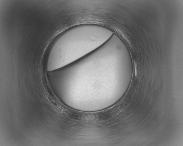 X0000076430675200610061000