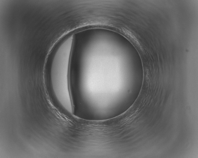 X0000076430676200610061000