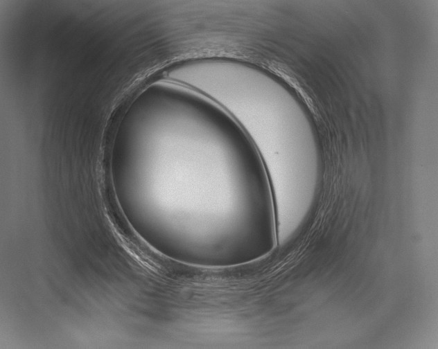 X0000076430677200610061000