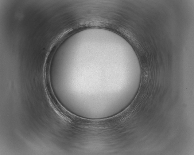 X0000076430678200610061000