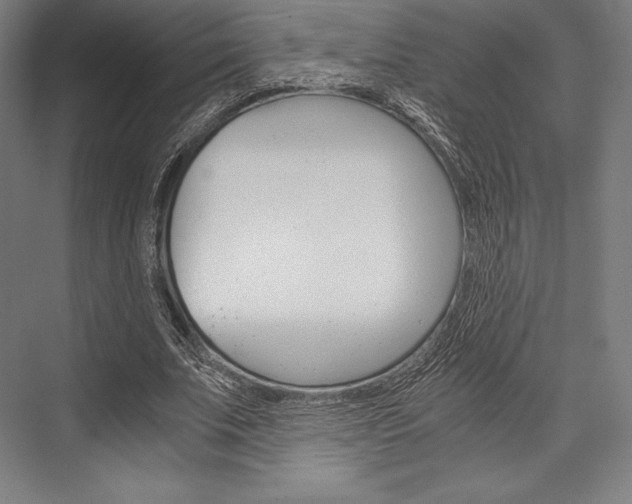 X0000076430679200610061000
