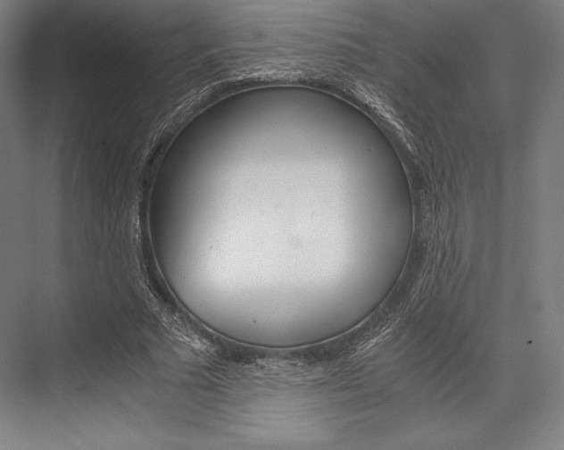 X0000076430681200610061000