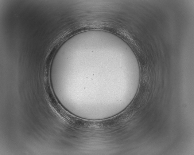 X0000076430683200610061000