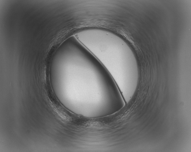 X0000076430685200610061000