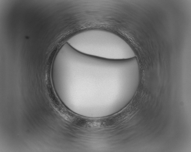 X0000076430687200610061000
