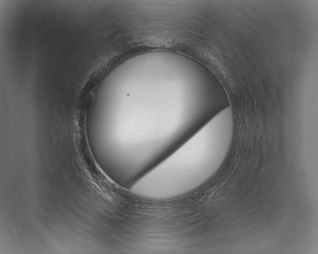 X0000076430688200610061000