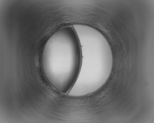 X0000076430689200610061000