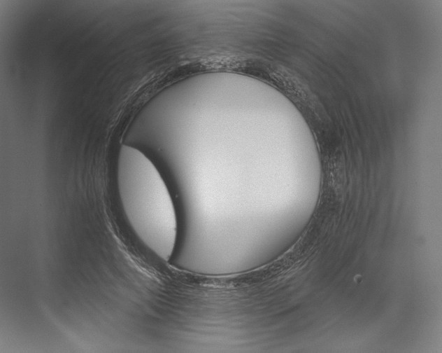 X0000076430690200610061000
