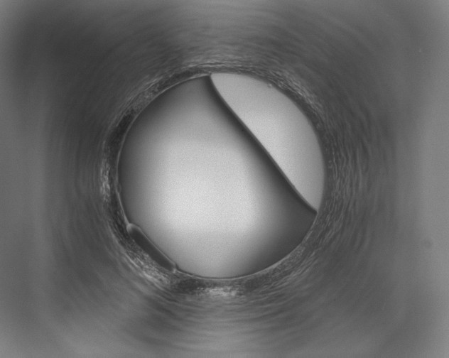 X0000076430692200610061000