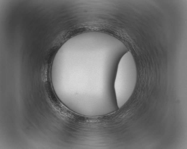X0000076430694200610061000