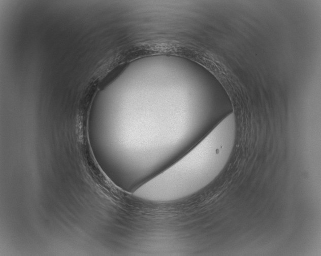 X0000076430696200610061000