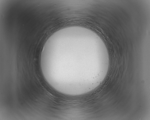 X0000076430701200610060959