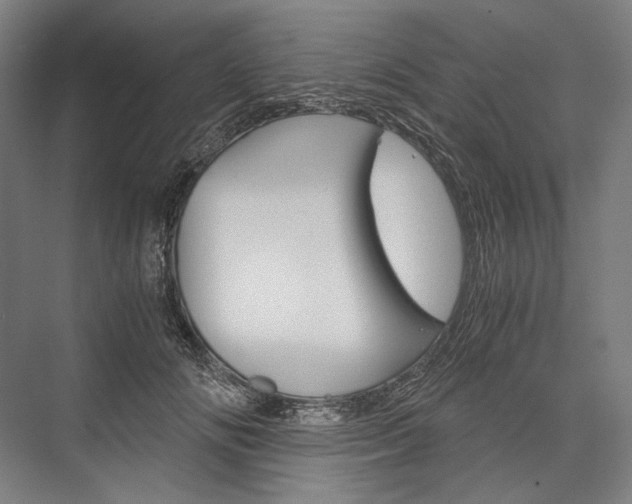 X0000076430702200610060959