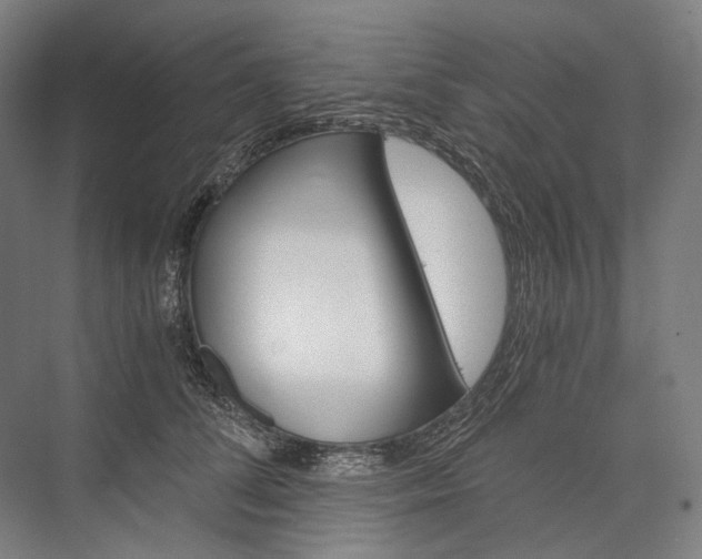X0000076430708200610060959
