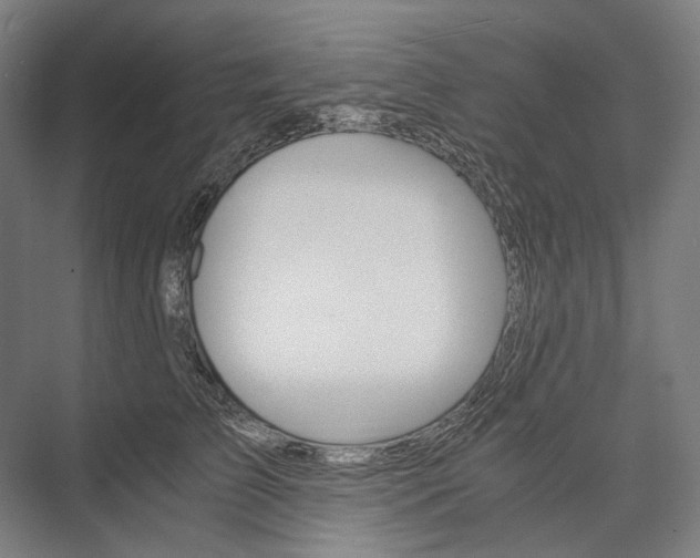 X0000076430709200610060959
