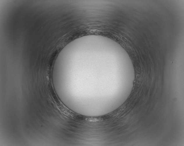 X0000076430710200610060959