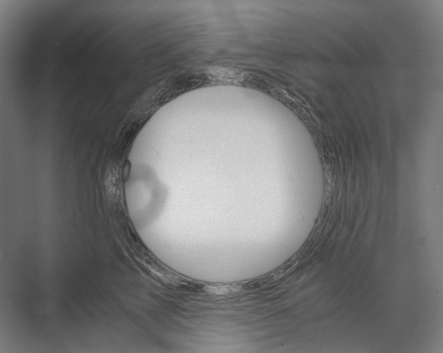 X0000076430713200610060959