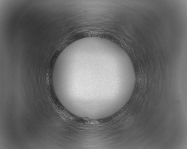 X0000076430715200610060959