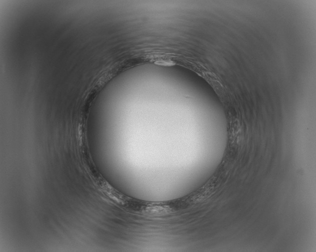 X0000076430716200610060959