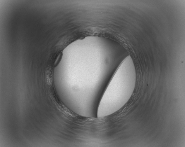 X0000076430719200610060959