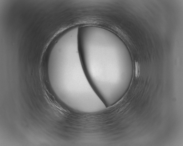 X0000076430723200610060958