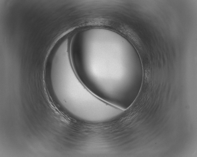 X0000076430724200610060958