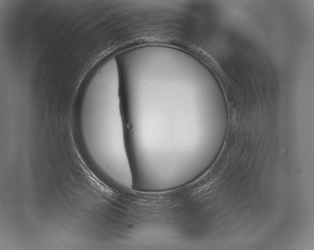 X0000076430725200610060958