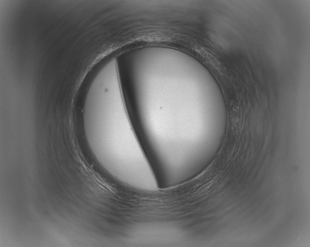X0000076430727200610060958