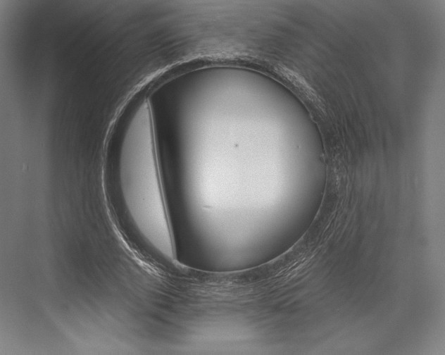 X0000076430728200610060958
