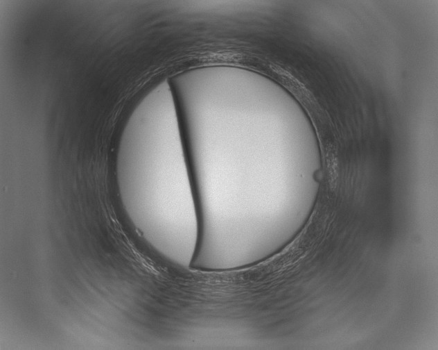 X0000076430729200610060958