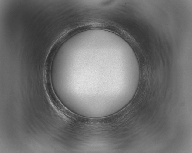 X0000076430730200610060958