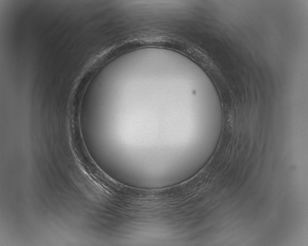 X0000076430732200610060958