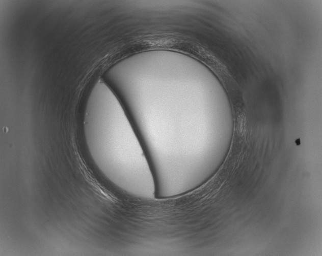 X0000076430733200610060959