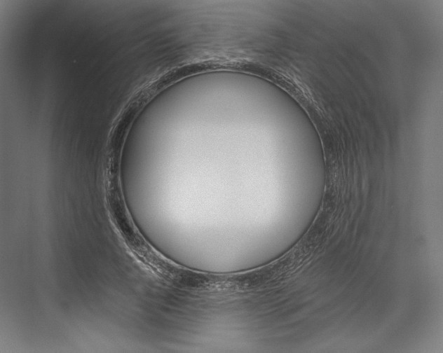 X0000076430736200610060959