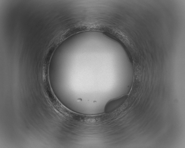 X0000076430740200610060959