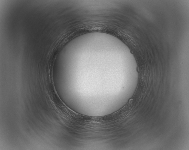 X0000076430743200610060959