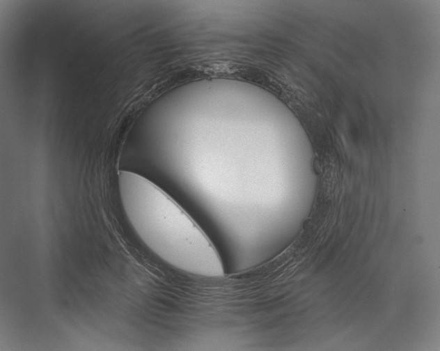 X0000076430747200610060959