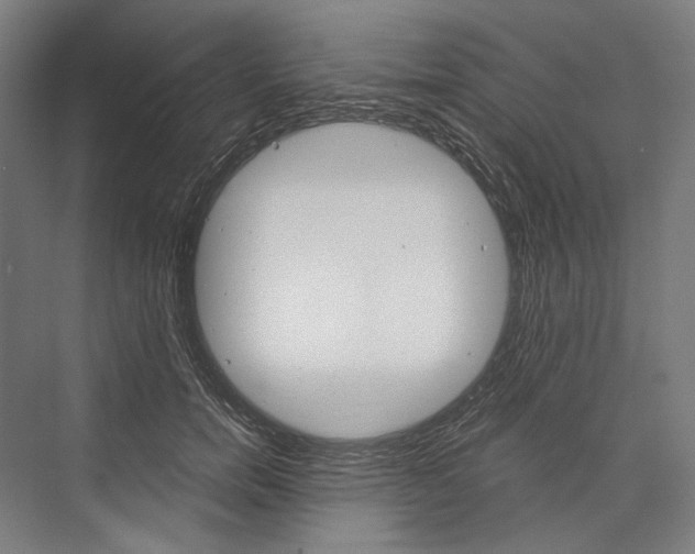 X0000076430750200610060959