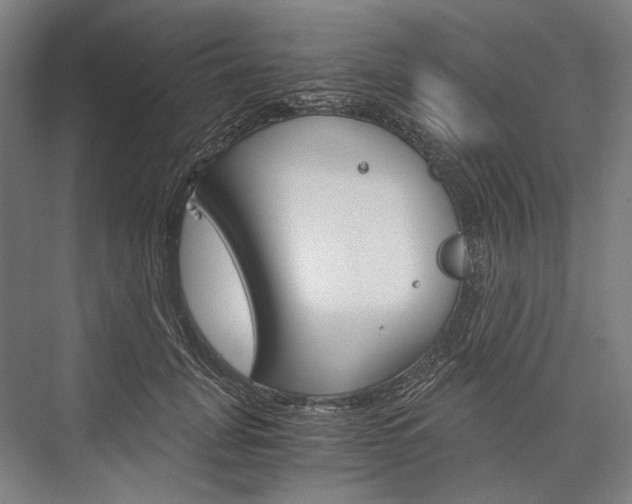 X0000076430751200610060959