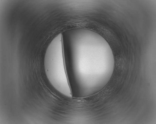 X0000076430752200610060959