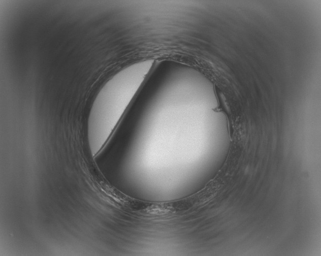 X0000076430756200610060959
